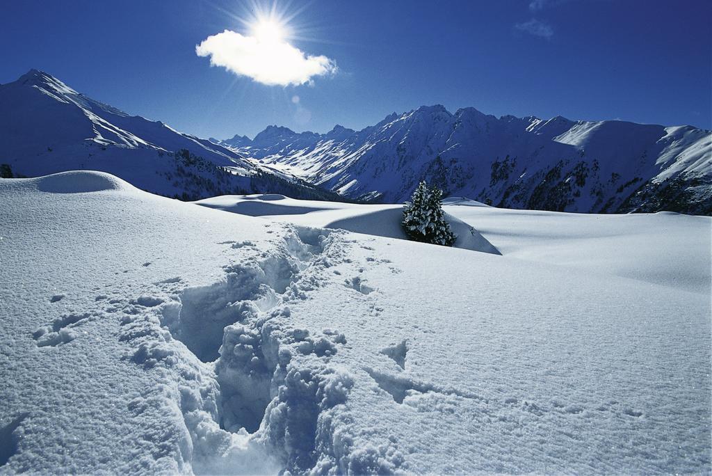 Silva Peak Residences Galtuer - Paznaun - Inkl Premium Silvretta Card Exterior photo